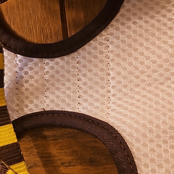 🐶 Bee 🐝harness 🐾 - Picture 8 of 9